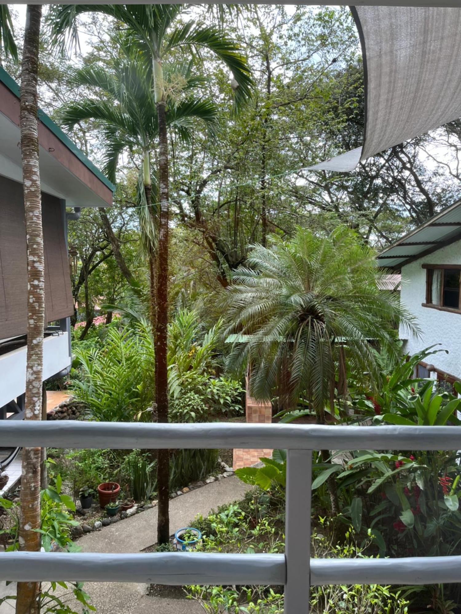 Hotel Entre Dos Aguas Sámara 外观 照片