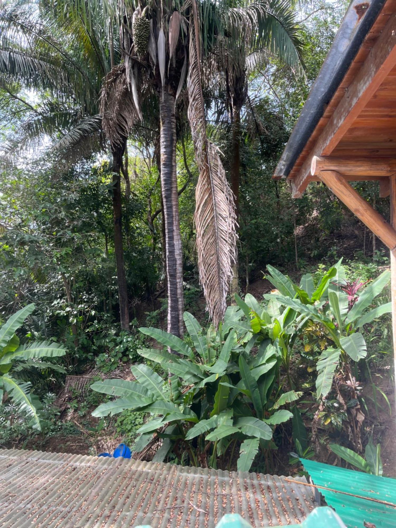 Hotel Entre Dos Aguas Sámara 外观 照片