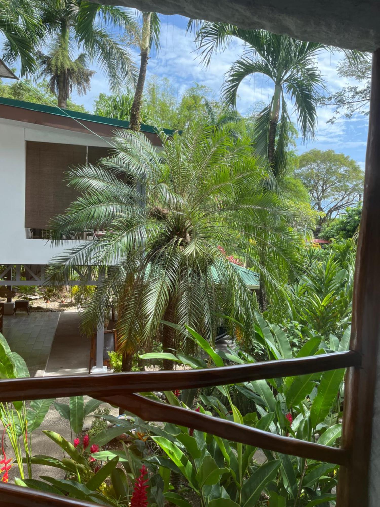 Hotel Entre Dos Aguas Sámara 外观 照片